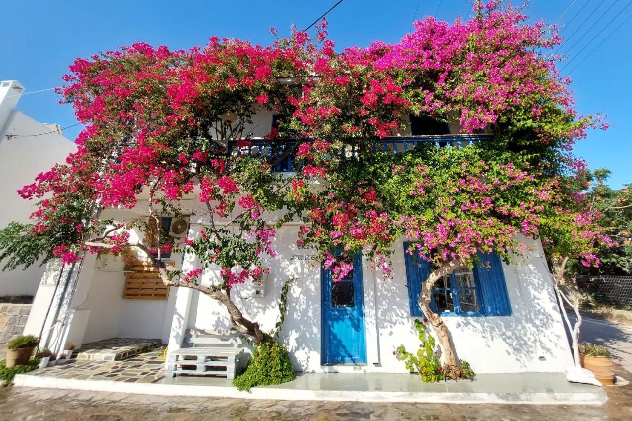 Chez Cecile Home Mochlos Exterior photo