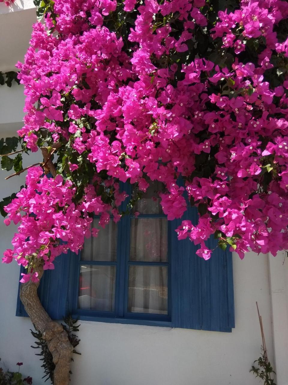 Chez Cecile Home Mochlos Exterior photo