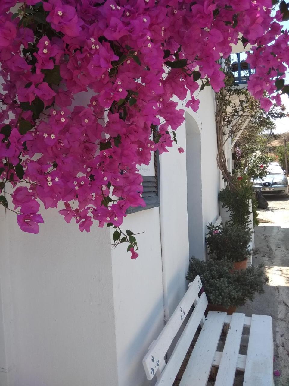Chez Cecile Home Mochlos Exterior photo