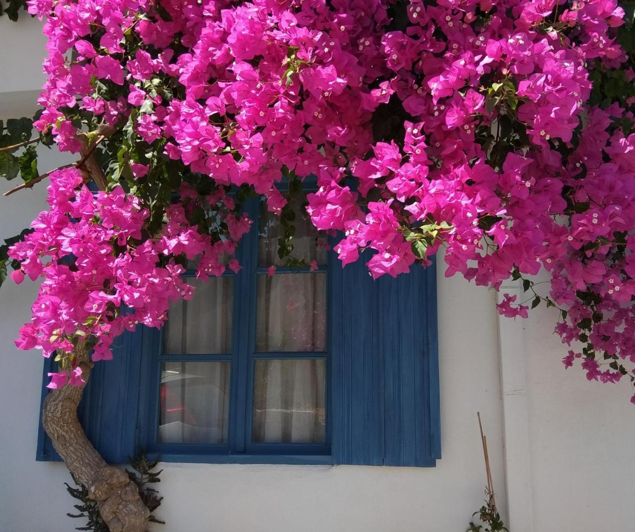 Chez Cecile Home Mochlos Exterior photo