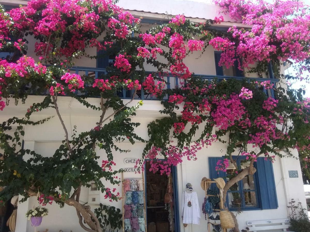Chez Cecile Home Mochlos Exterior photo